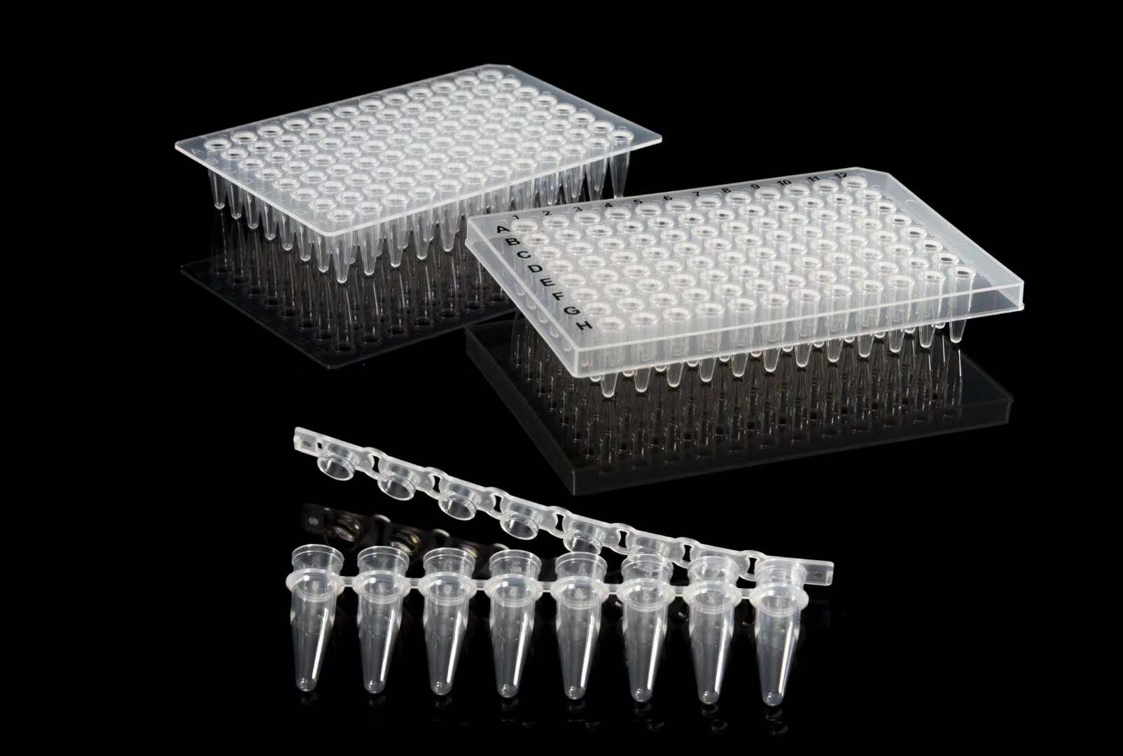 Axygen  分子生物学  PCR产品