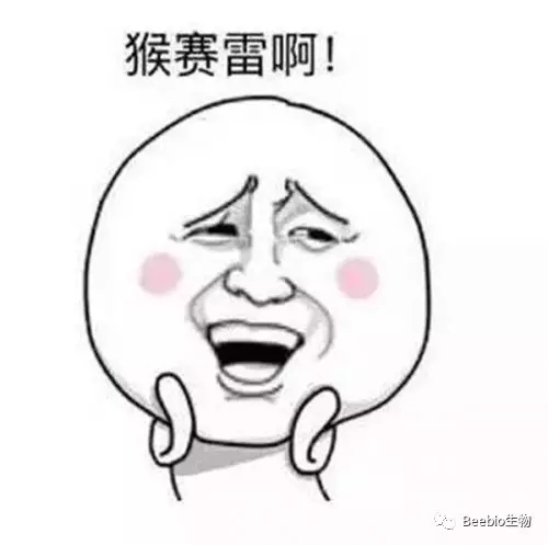 640.webp.jpg